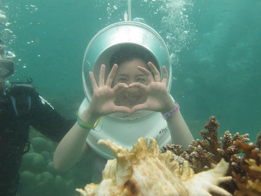 Pattaya Sea Walking - Thrilling Thai Tours Enjoy a day under, Underwater Sea Walk HD wallpaper