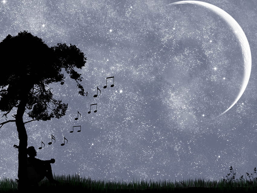 fairy music, music note, black, musc, note, cool HD wallpaper