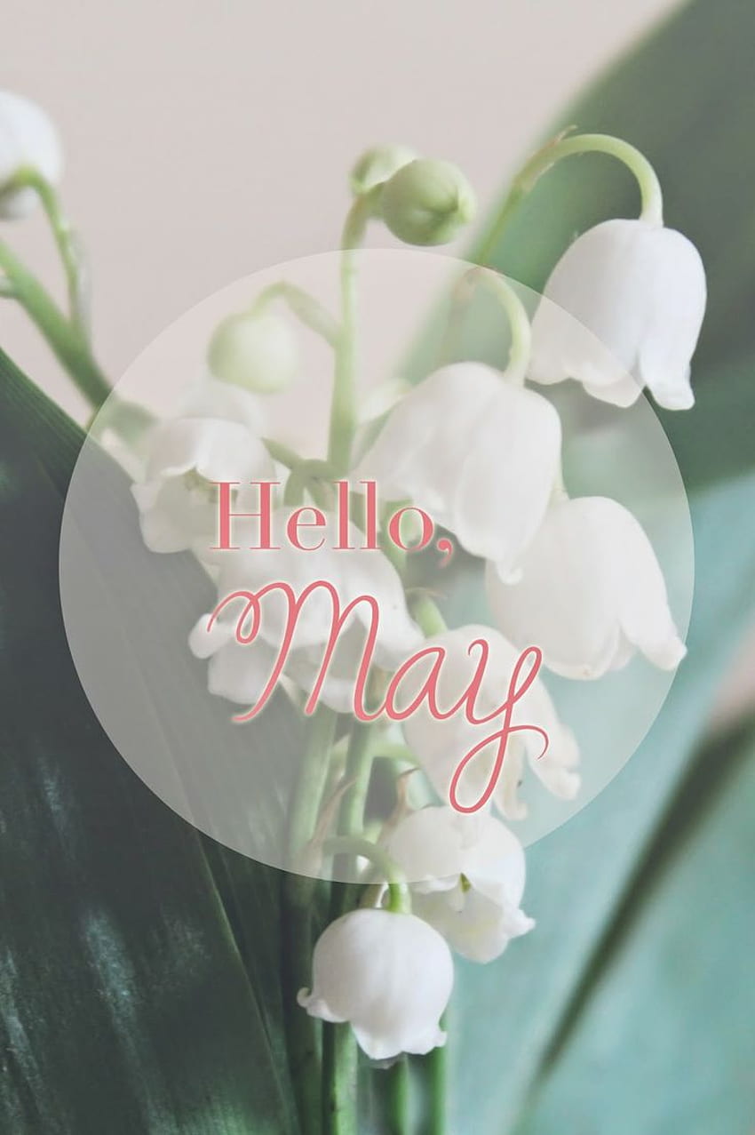 Frases de Bienvenida Mayo - Adiós Abril Hola Mayo - fondo de pantalla del teléfono