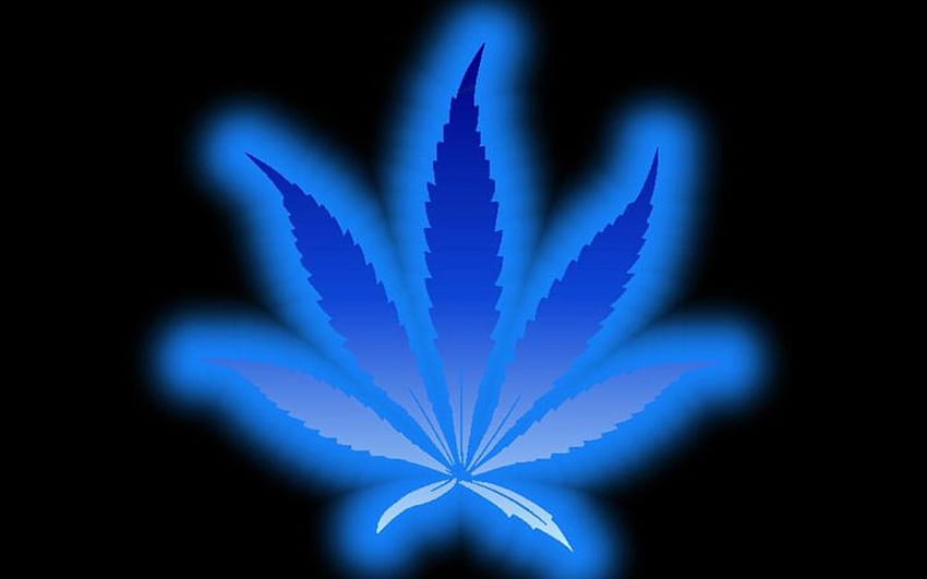 plano de fundo, maconha, cannabis papel de parede HD