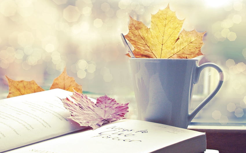 Herbst, Blätter, Verschiedenes, Sonstiges, Buch, Stimmung HD-Hintergrundbild