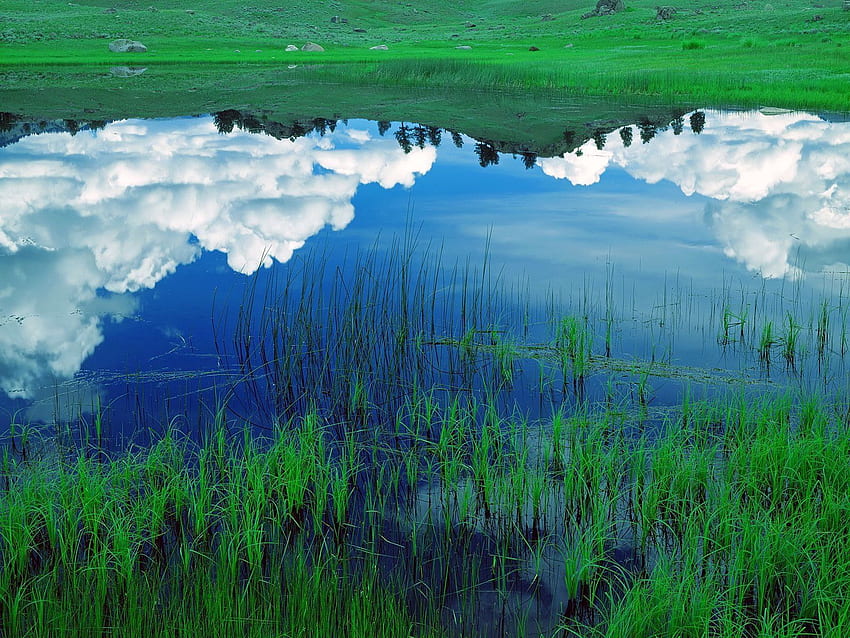 Natura, trawa, niebo, chmury, jezioro, odbicie, pole Tapeta HD