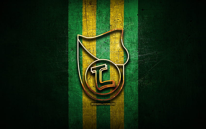 Egnatia FC, golden logo, Kategoria Superiore, green metal