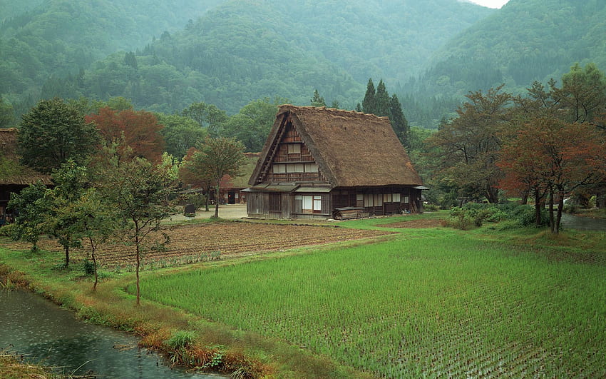 雨の中の日本の農家。 日本の田舎, 自然の中の家, 古民家 高画質の壁紙