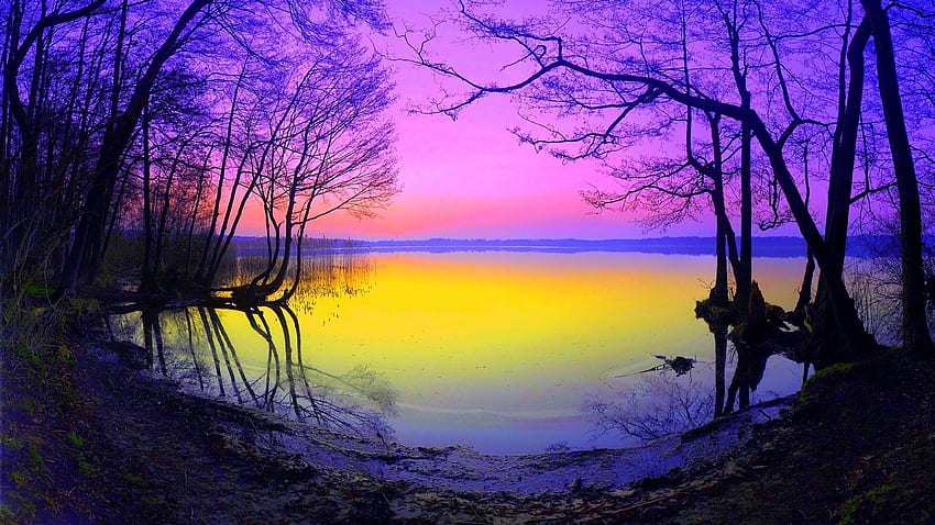 ทะเลสาบในฤดูใบไม้ร่วงเย็น ตอนเช้า เช้า เย็น ต้นไม้ ฤดูใบไม้ร่วง ท้องฟ้า ธรรมชาติ ทะเลสาบ วอลล์เปเปอร์ HD