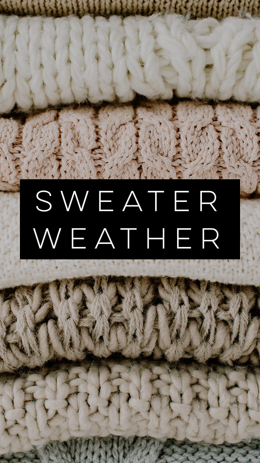 sweater weather Fall phone . Lynn Meadows graphy. Cute christmas , Weather , Winter HD phone wallpaper
