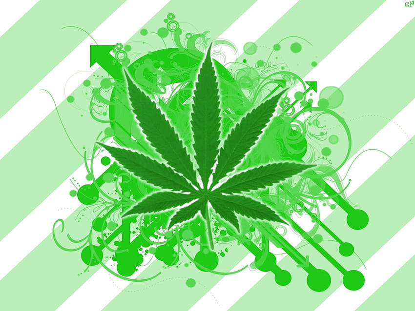 Avatar di cannabis, Maconha Sfondo HD
