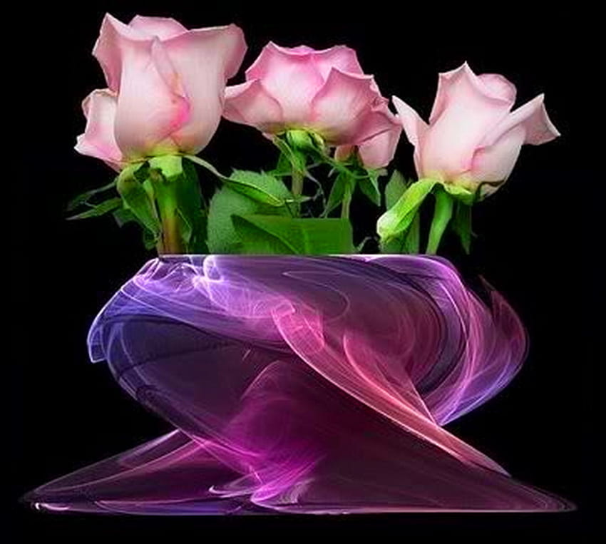 Schatz rosa, rosa, Rosen, schwarzer Hintergrund, drei, Strähnen HD-Hintergrundbild