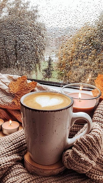 1537 Cozy Fall Coffee Stock Photos HighRes Pictures and Images  Getty  Images