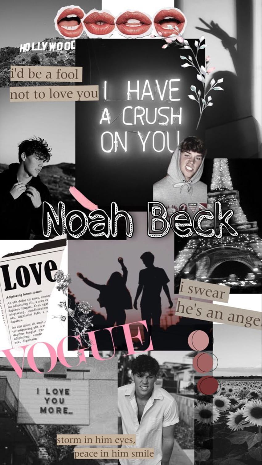 Noah Beck. Noah, Future boyfriend, Beck HD phone wallpaper