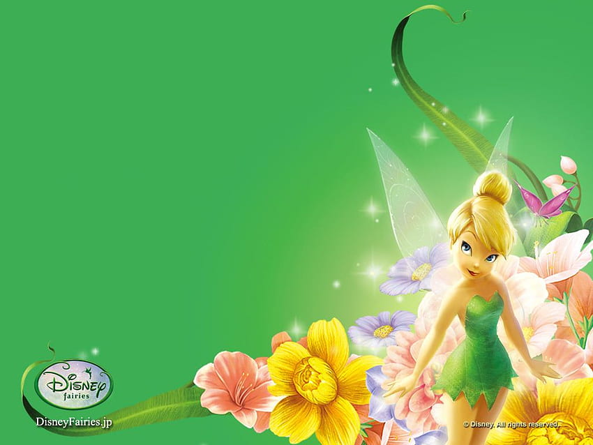 Fairy Background Group (74), Disney Fairies HD wallpaper