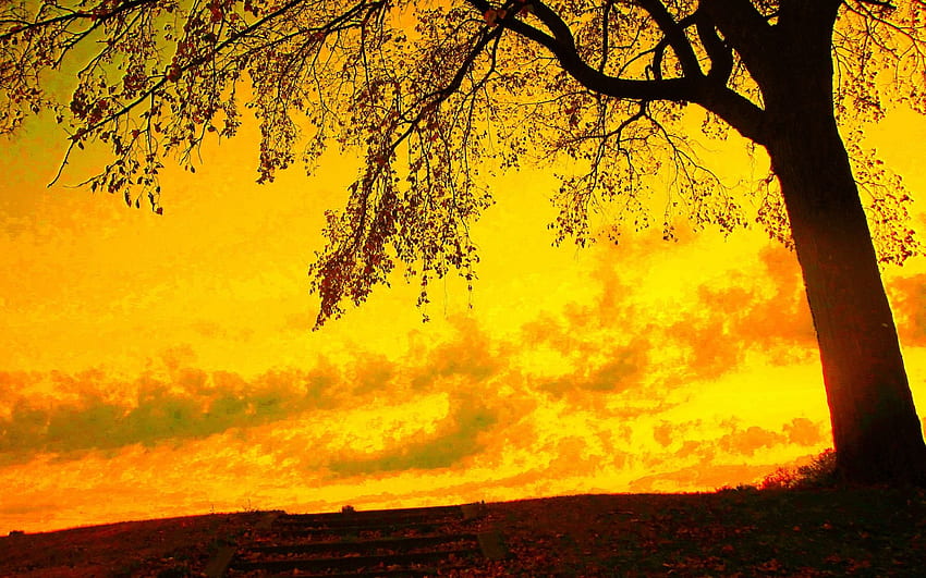 Yellow sky, Yellow Aesthetic Sunset HD wallpaper | Pxfuel