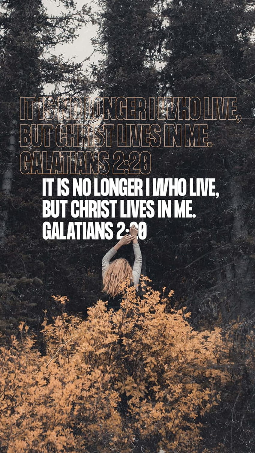 Galatians 2:20, Jesus, lives, sanctification, Bible, Christian, verse, God, Christ, live HD phone wallpaper