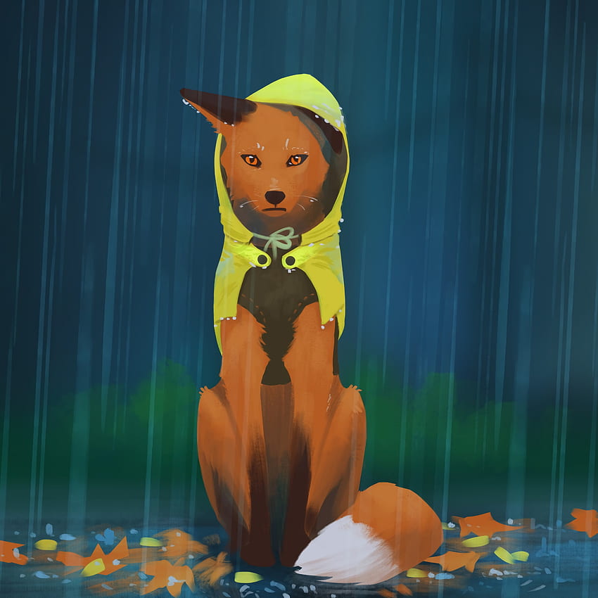 Art, Rain, Fox, Hood, Raincoat HD phone wallpaper