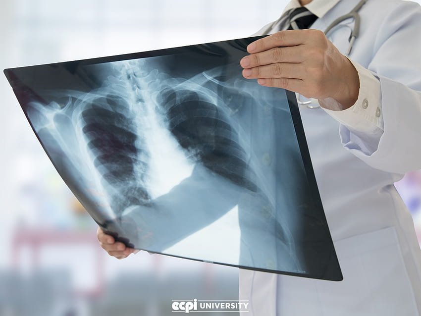 Belajar Radiologi: Informasi Dasar tentang Bidang Teknologi Masa Depan, Ahli Teknologi Radiologi Wallpaper HD