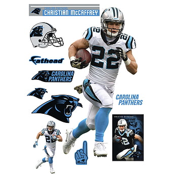 Cmc 22 Panthers Wallpaper Poster