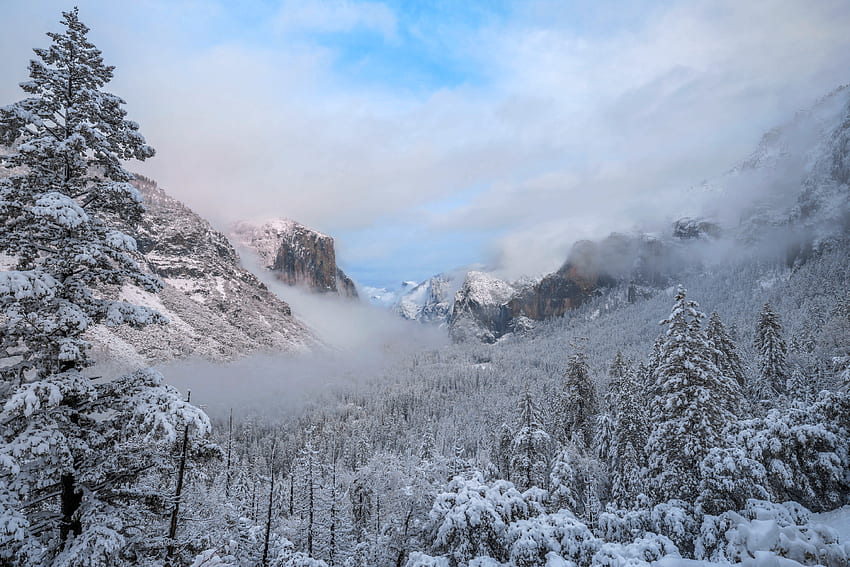 Fresh Snow At Yosemite NP, California, Forest, Mountains, Usa, Snow