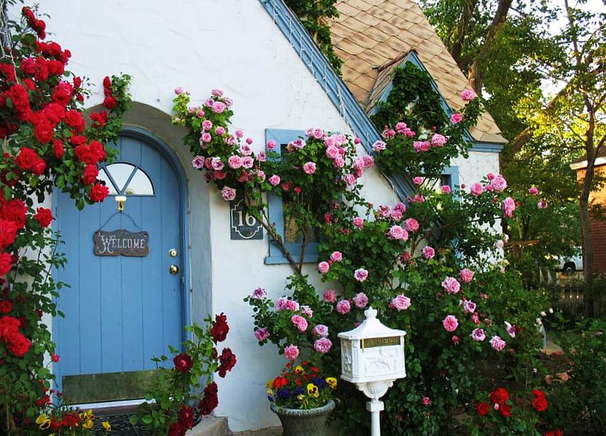 Stay awhile, roses, window, blue door, pink, inviting, red, vines, entrance, home HD wallpaper