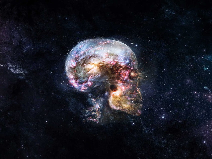 Bagaimana Jika Kita Menggunakan Kapasitas Penuh Otak Kita?, Galaxy Brain Wallpaper HD