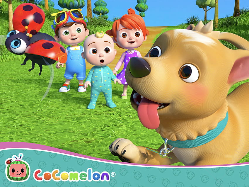 Prime Video: CoComelon – Kinderlieder und Kinderreime, Cocomelon-Logo HD-Hintergrundbild