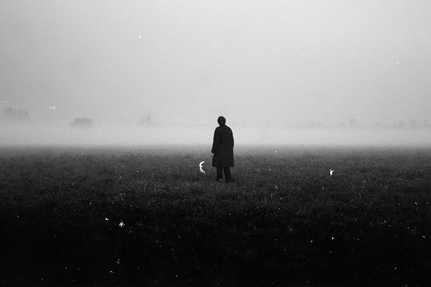 霧、もや、野原、気味が悪い、人、黒と白、パブリック ドメイン、孤独、恐怖、不気味、一人、草。 モカ、不気味な人々 高画質の壁紙