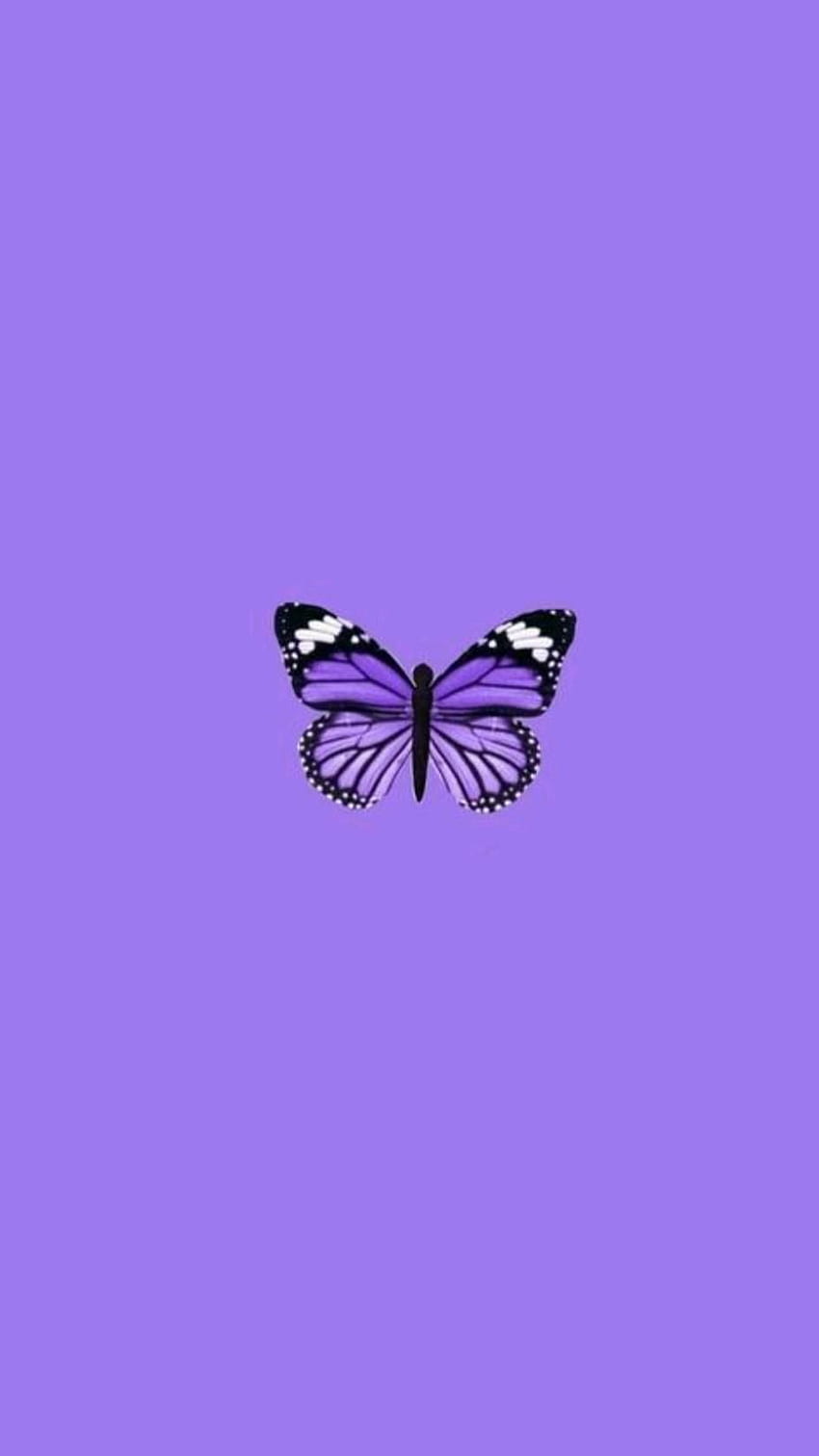 Butterfly, Violet Cute HD phone wallpaper | Pxfuel
