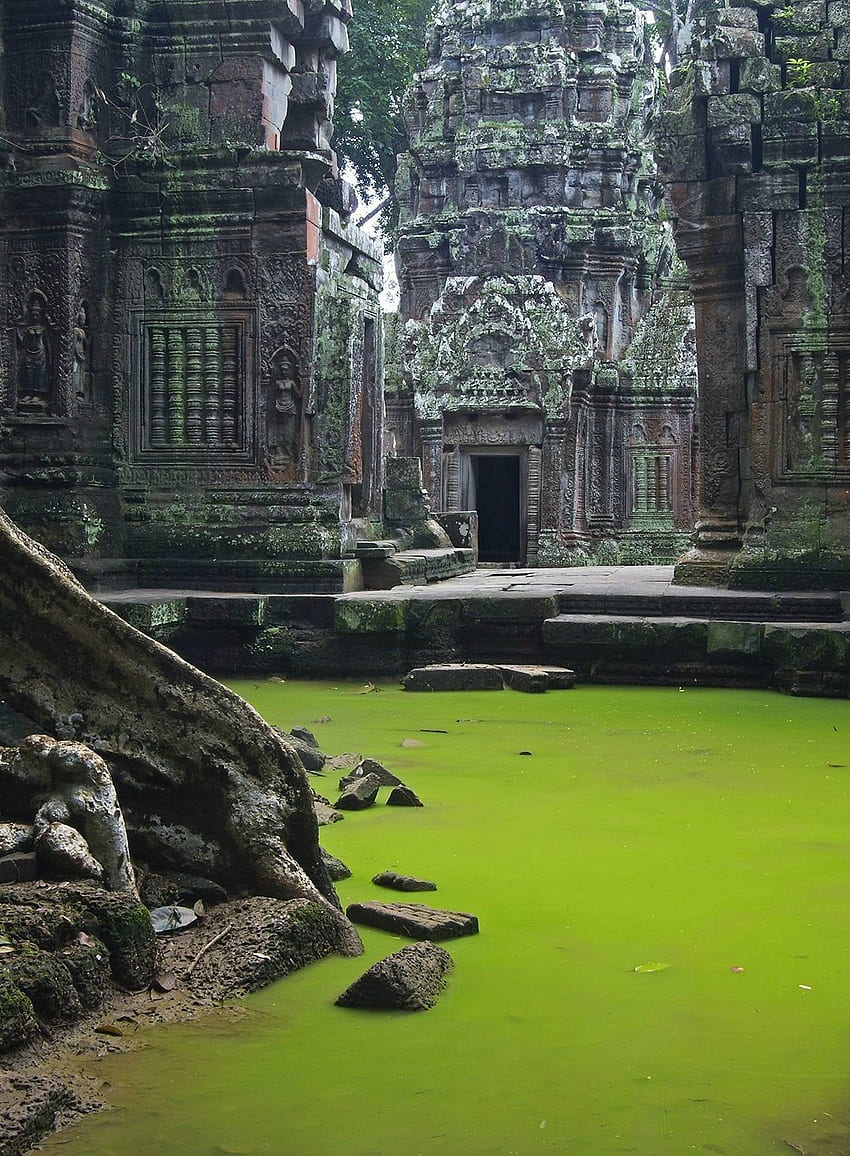 Mysterious Temple in jungle. : pics, Jungle Ruins HD phone wallpaper