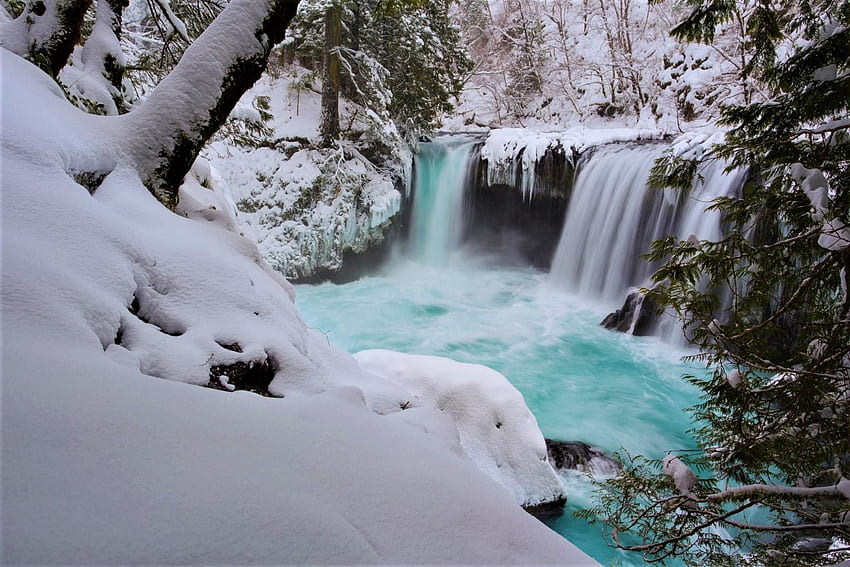 Forest, Ice, Snow, Tree, Waterfall, Winter & Background, Winter Waterfall HD wallpaper