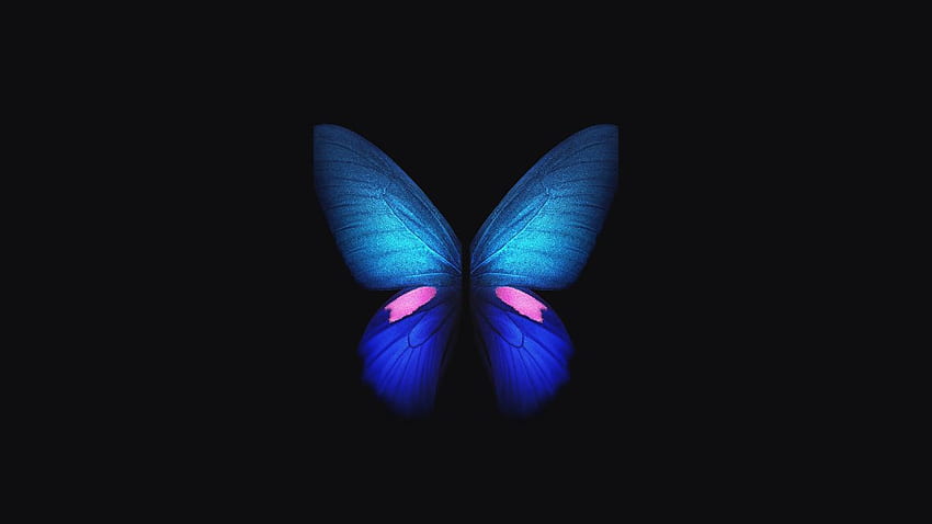 Samsung Galaxy Fold, Blue, Butterfly, Stock HD wallpaper | Pxfuel