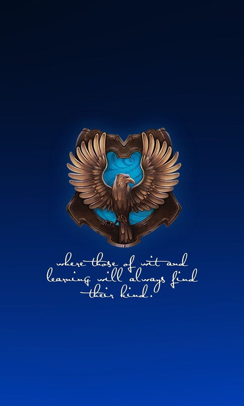 you can't cancel quidditch!, Ravenclaw Quidditch HD phone wallpaper