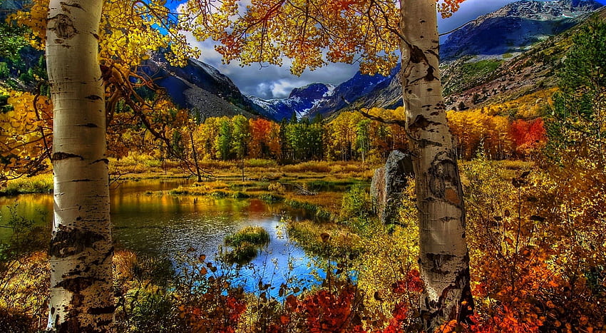 Autumn Scene, fall, autumn, colours, lake, mountain HD wallpaper