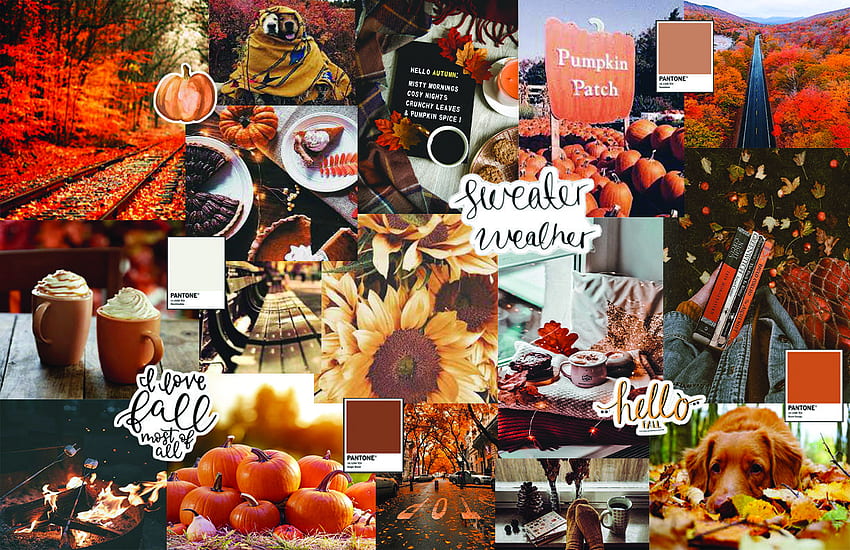 Cute Autumn Aesthetic Wallpapers - Wallpaper Cave