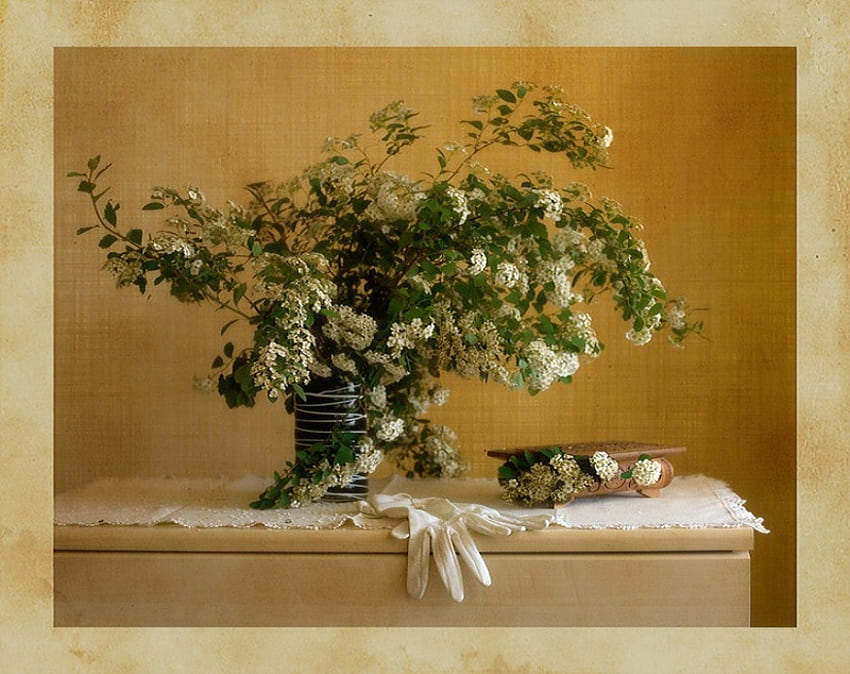 Berselera, sarung tangan, meja, kelopak, vas, cantik, bunga, renda Wallpaper HD