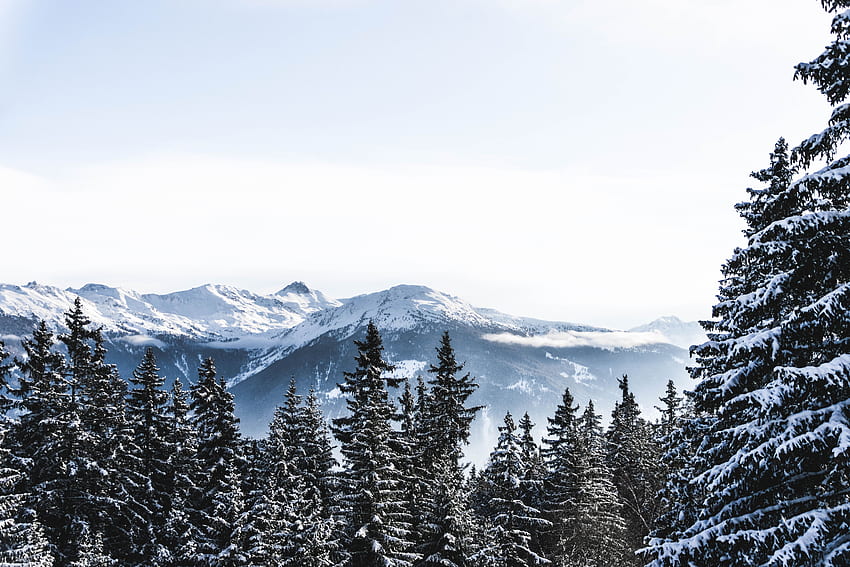 Winter, Nature, Mountains, Snow, Vertex, Tops, Snow Covered, Switzerland, Snowbound HD wallpaper