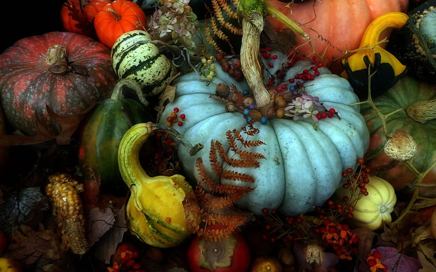 Pumpkins, blue, yellow, green, red, pumpkin, autumn, orange HD wallpaper