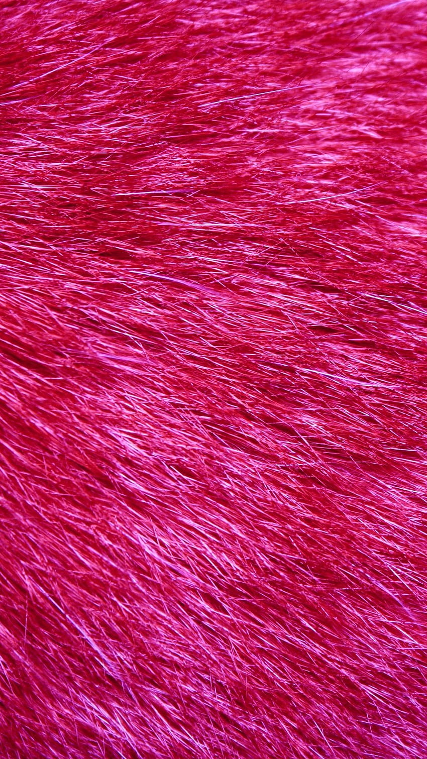 Pink Fur, Fluffy HD phone wallpaper