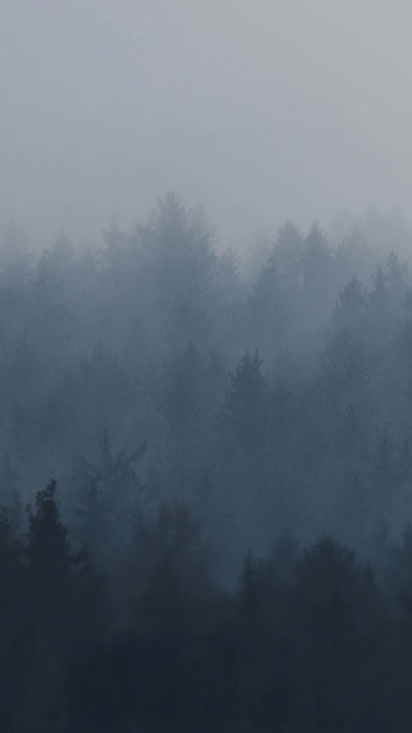 Foggy forest by L0n3wo1f - b7, Dark Misty Forest HD phone wallpaper