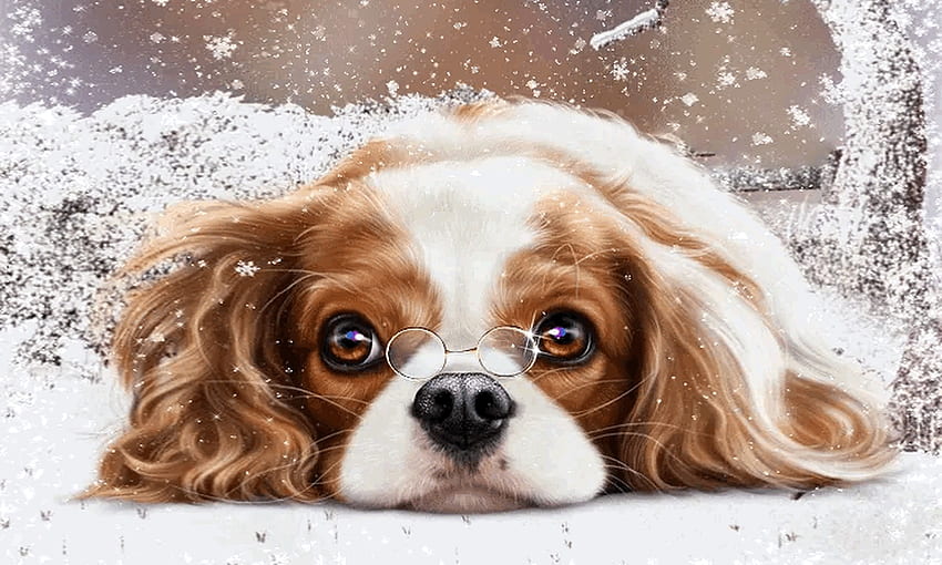 Anjing Lucu di Salju, manis, anjing, Musim dingin, salju, mata, imut, menggemaskan, Hewan Wallpaper HD