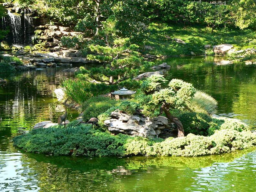 Fortworth Texas, Japanese Garden, trees, island, plants, water HD wallpaper