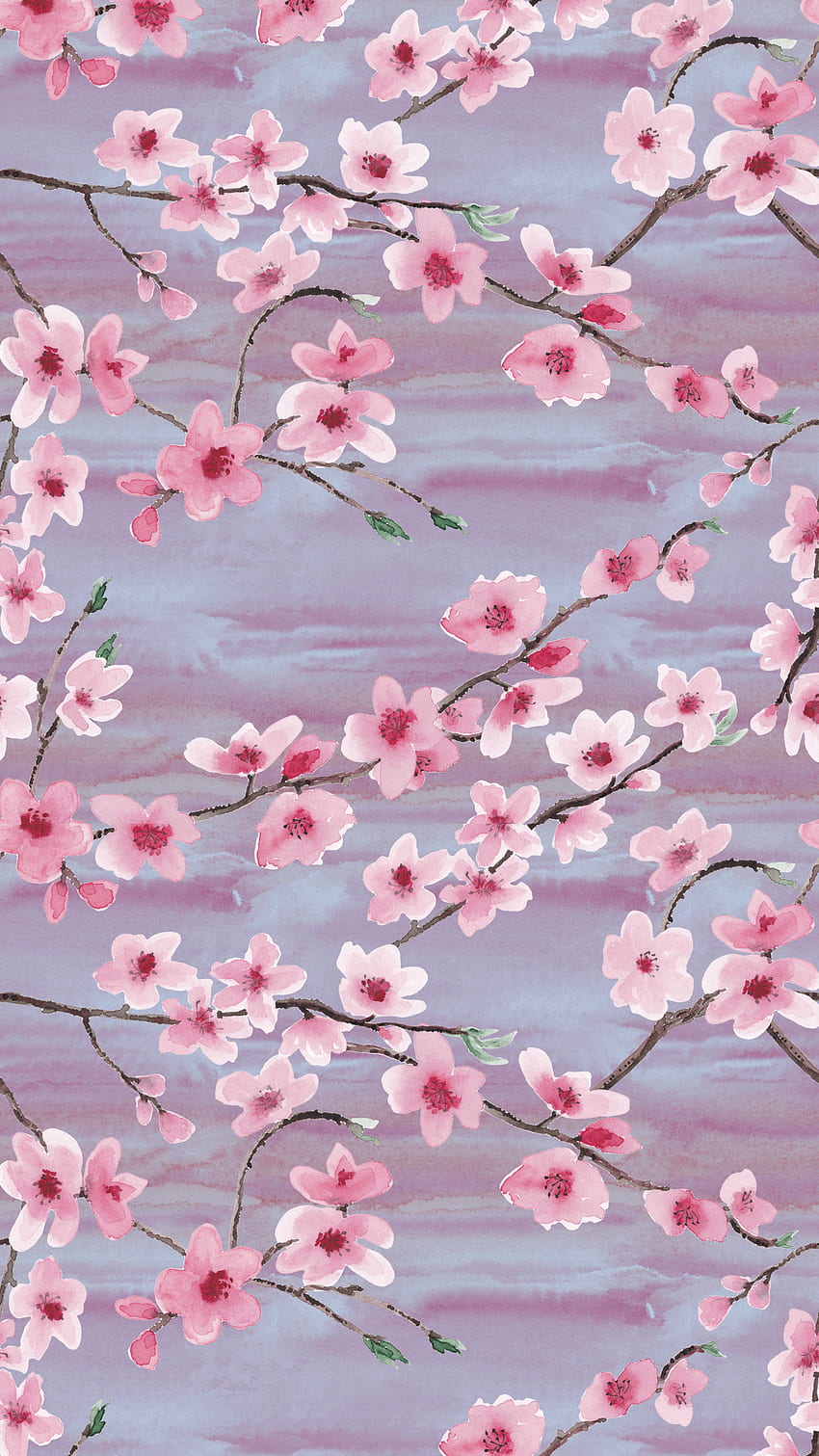 Fashion Wallpaper Pink Flowers Aesthetics Cherry Blossom Tree Stock  Photo Picture And Royalty Free Image Image 150122150