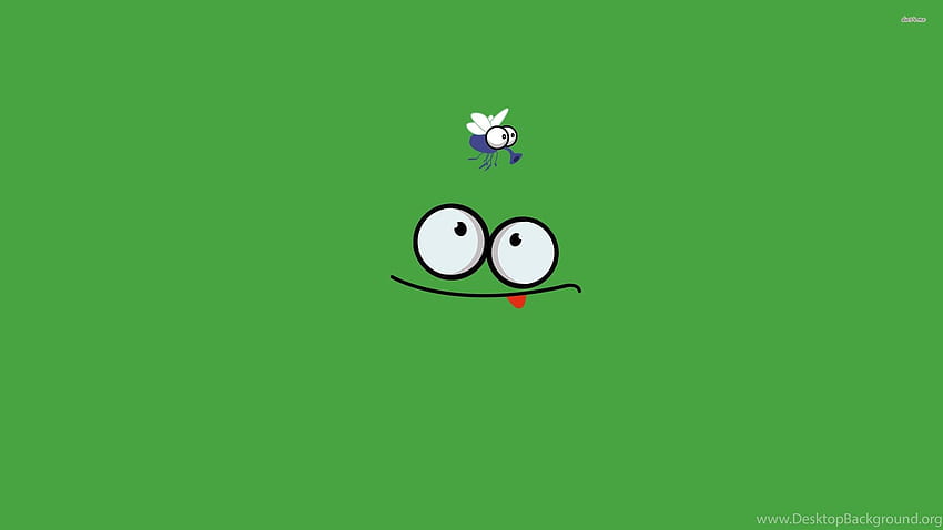 Funny Face And A Fly Funny Background, 2048X1152 Funny HD wallpaper ...