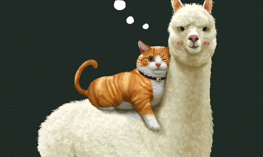 cat and alpaca, cats, alpaca, friends, animals HD wallpaper