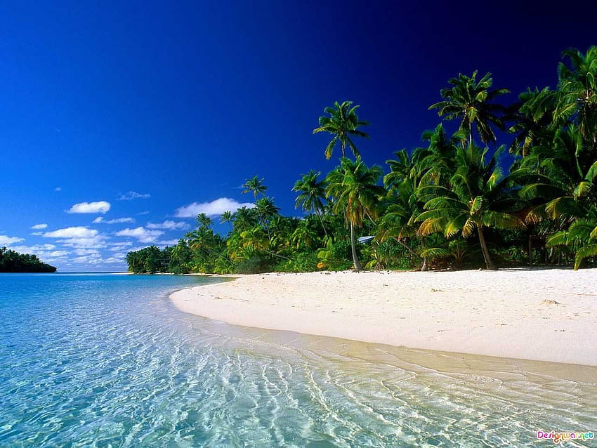 Тропически плажен фон за мобилни Waraqh HD тапет