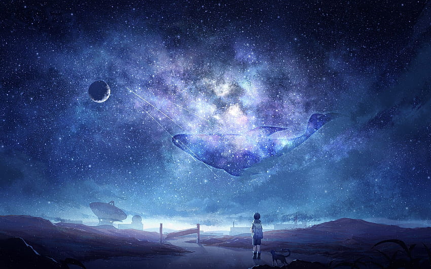 Anime Sky, Milky Way, Stars, Anime Boy, Galaxy Art HD wallpaper