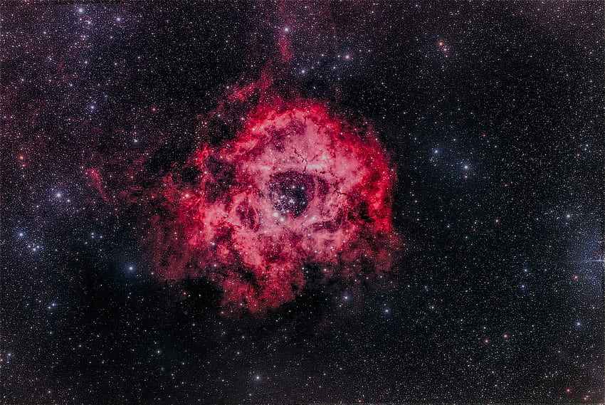 バラ星雲、NGC 2244、銀河、星、、、宇宙、宇宙、赤 高画質の壁紙
