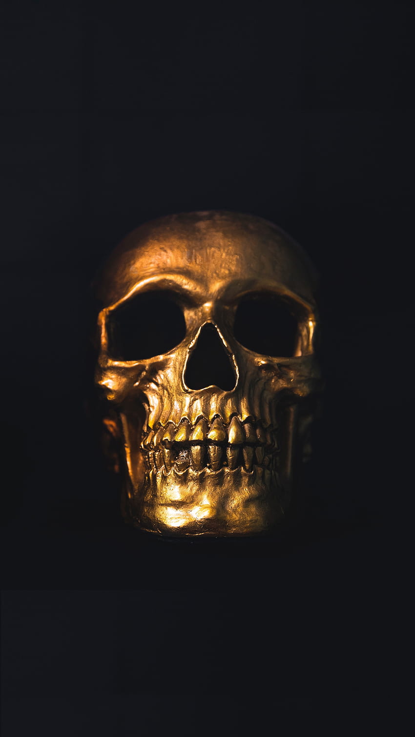 Златен череп, минимален, - златен череп - - teahub.io, готин минималистичен скелет HD тапет за телефон
