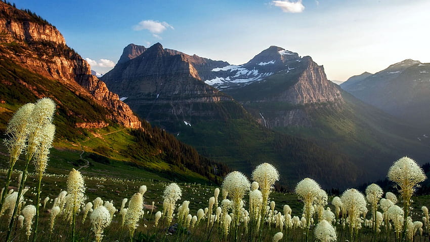 Glacier National Park, Montana, blossoms, peaks, clouds, landscape, sky, mountains, spring, usa HD wallpaper