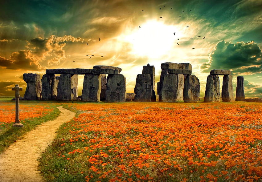 Rendez-vous, pagi, kuno, Stonehenge, bunga liar, menakjubkan, pemandangan, jalan, padang rumput, cantik, batu, batu, Inggris, bidang, melompat, awan, langit, bunga, indah Wallpaper HD