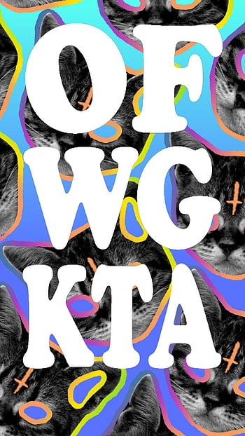 ofwgkta wallpaper hd cat