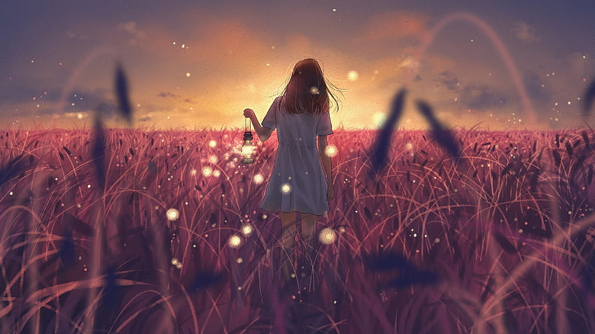 Anime Landscape, Field, Anime Girl, Back View, Dress, Fireflies, Sunset, Lantern for U TV HD wallpaper